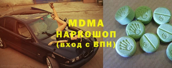 индика Козельск