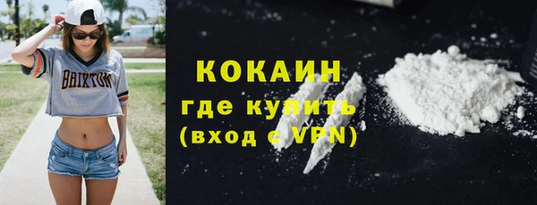 индика Козельск