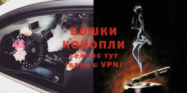 прущие грибы Краснотурьинск