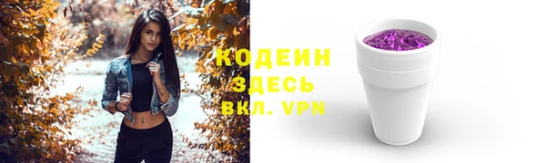 гидра Кодинск