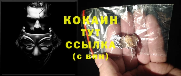 индика Козельск