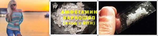 индика Козельск