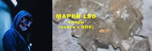 гидра Кодинск
