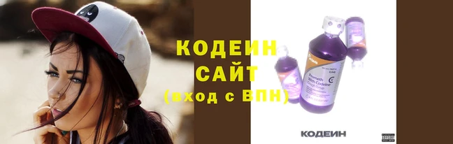 гидра Кодинск