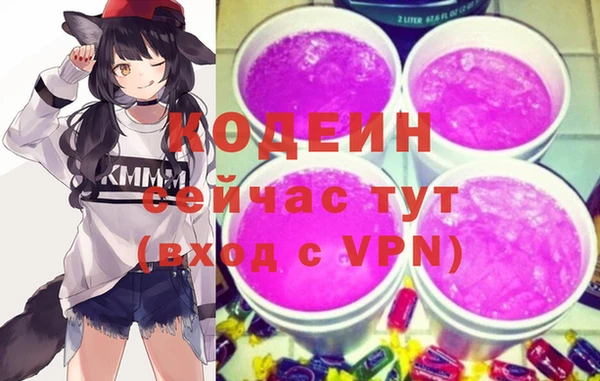 гидра Кодинск