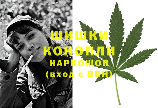 индика Козельск
