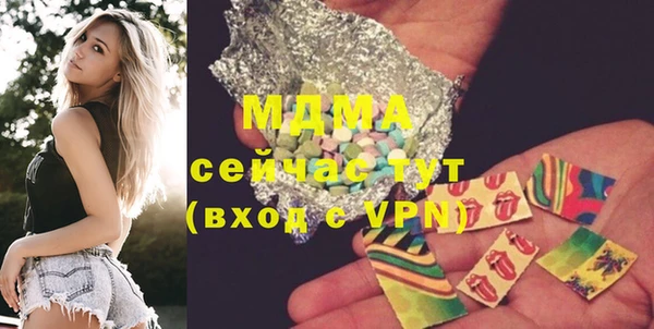 индика Козельск