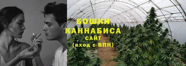гидра Кодинск