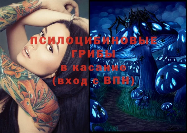 индика Козельск