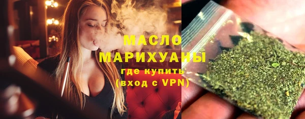 гидра Кодинск