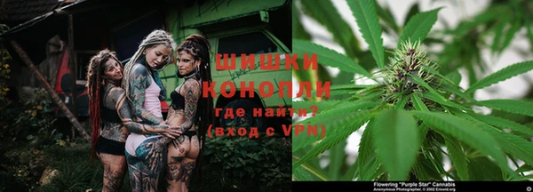 индика Козельск