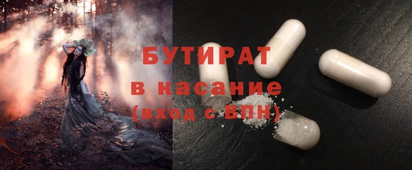 индика Козельск