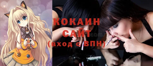 индика Козельск