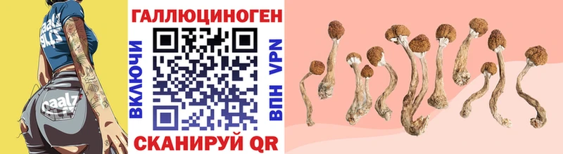 Купить закладки  Воткинск  Псилоцибиновые грибы MAGIC MUSHROOMS 