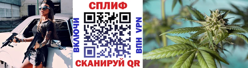 Бошки Шишки White Widow  Купить где  Воткинск 